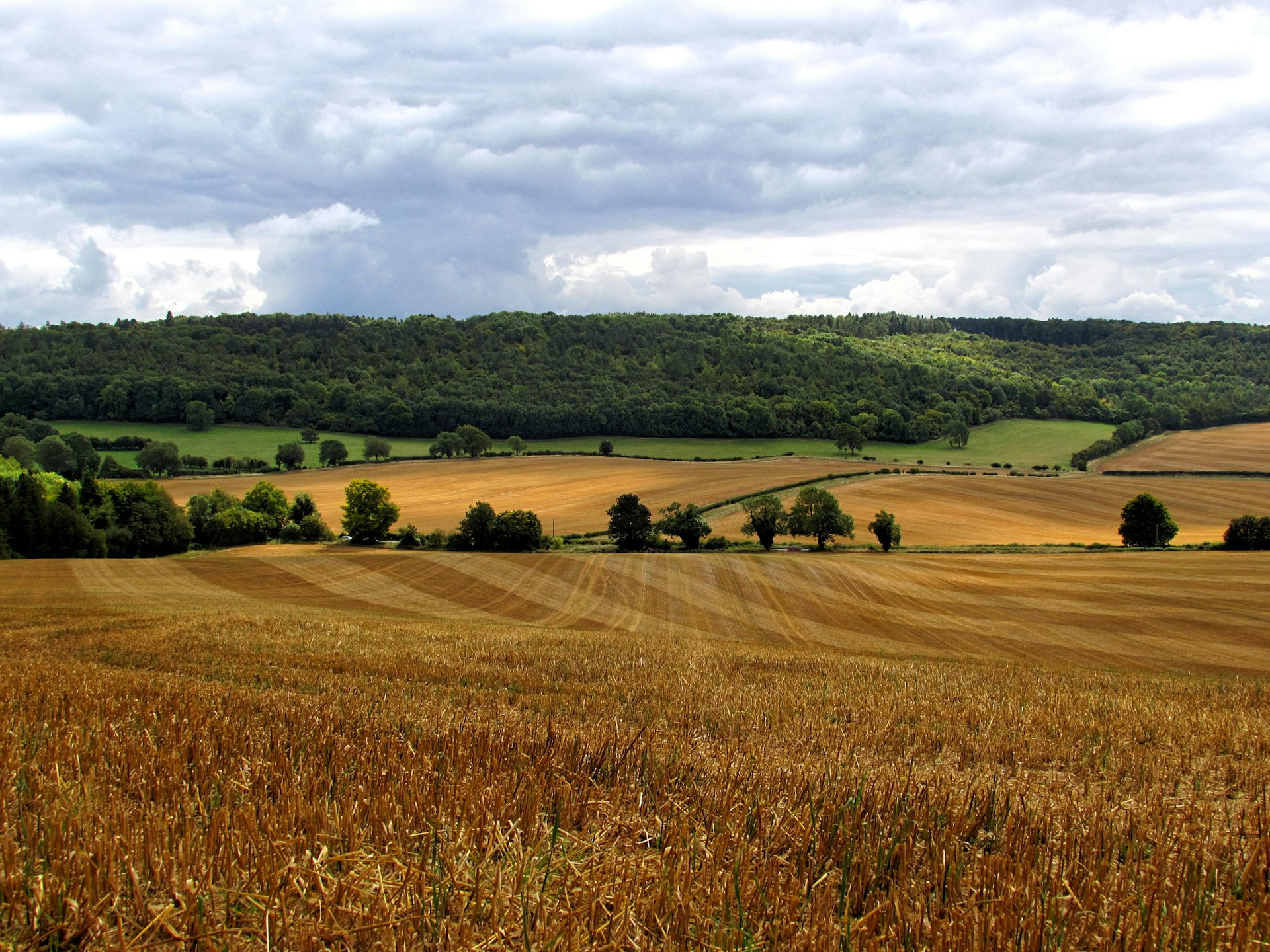 Field depicting a countryside with rolling hills